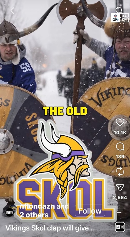 Minnesota Vikings Fans