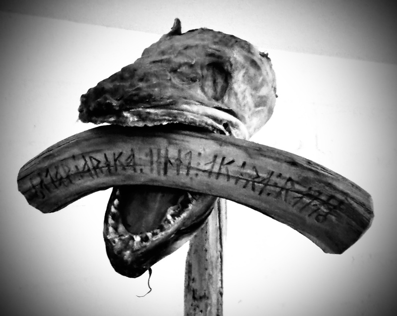 Níðstöng (Sorcery and Witchcraft Museum)