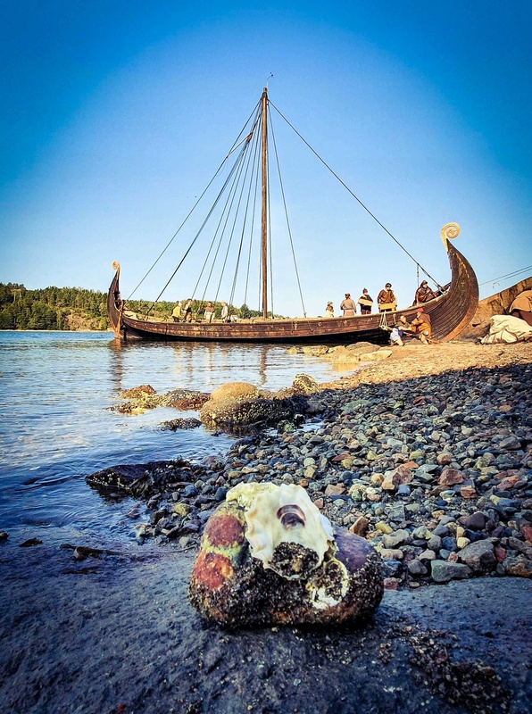 Saga Oseberg - full side view