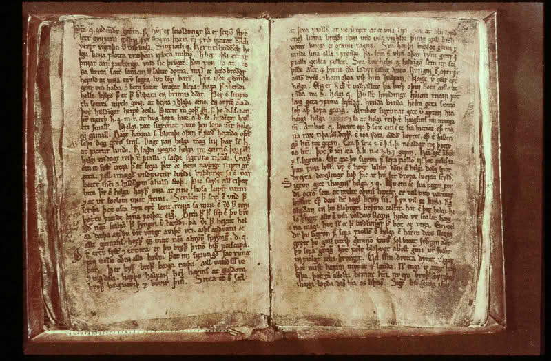 The Poetic Edda (Codex Regius)