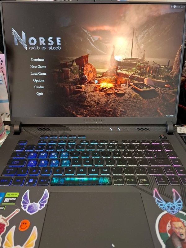 Norse: Oath of Blood (Video Game)
