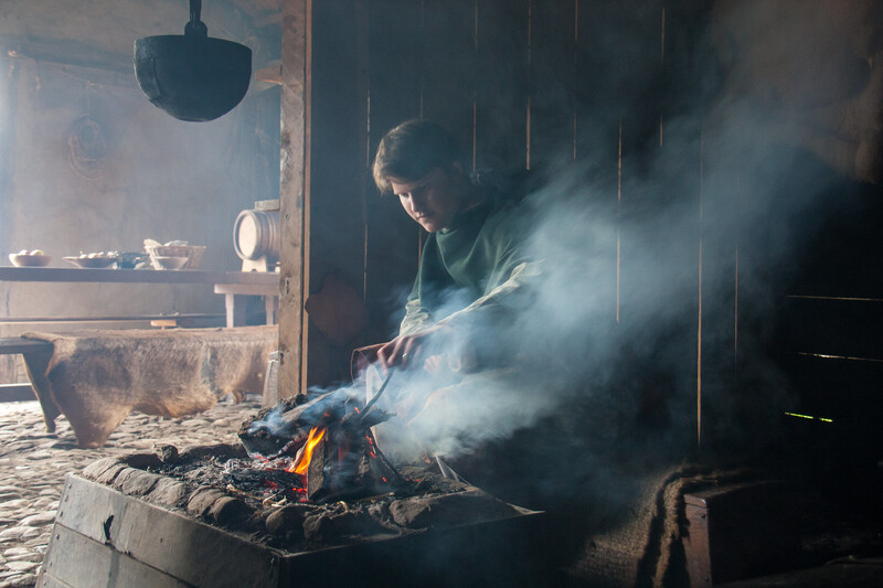 Viking Domestic Life