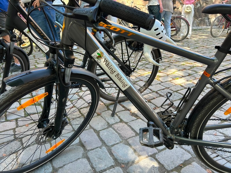 Bike from Viking Biking & Hiking