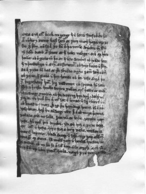 Manuscript folio of The Saga of Ragnar Lothbrok