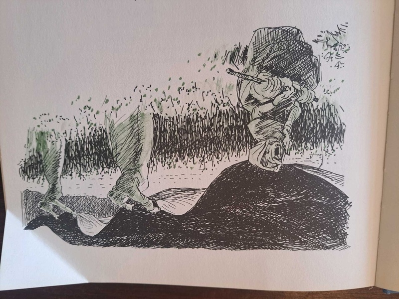 Yggdrasil childrens book