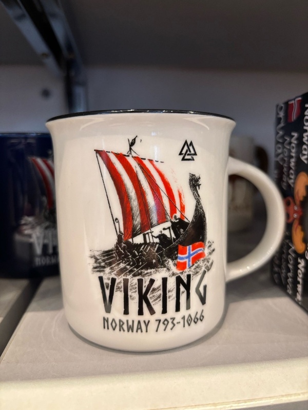 Viking Souvenir Mug