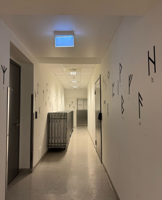 Runes at Nynorskens hus
