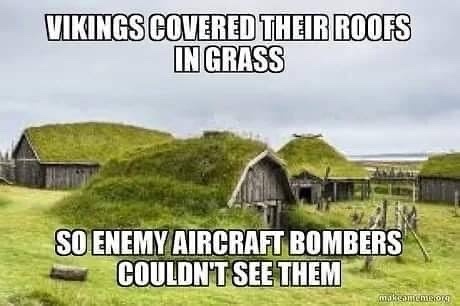 Meme about 'Viking' grass roofs
