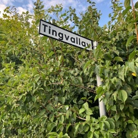 Tingvallav. street sign