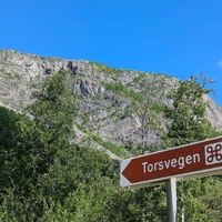 Torsvegen sign