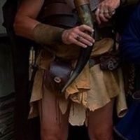 Viking Costume