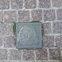 Metal plaque with a Viking motif on the cobblestones in Waterford