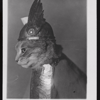 Brünnhilde (2017645524).jpg