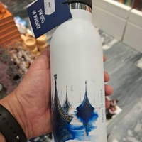 Water bottle decorated with several Viking ships