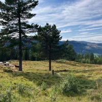 Gardberg Burial Site (Norway)