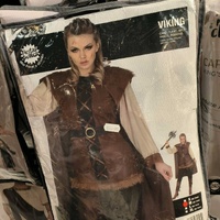 Female Viking costume