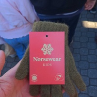 Norsewear gloves