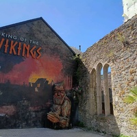 King of the Vikings