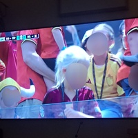 Norwegian fans with horned helmet