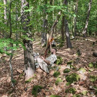 Viking Archer Reenactment at Rogar - Raně středověká bitva