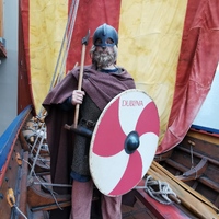 Dublinia Viking Museum