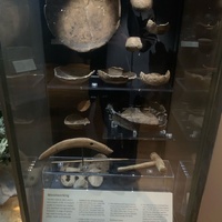 Woodworking Artefacts