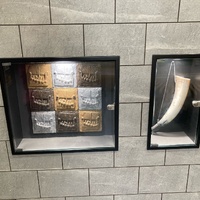 Viking artefacts on display at the York station