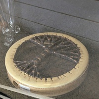 Tree of Life shamanic frame drum