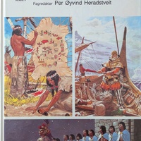 Children's book on Vikings and Indians