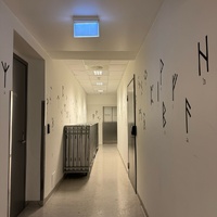 Runes at Nynorskens hus
