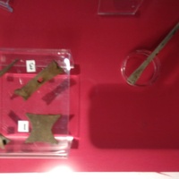 Musical artefacts from 12th-century Cork